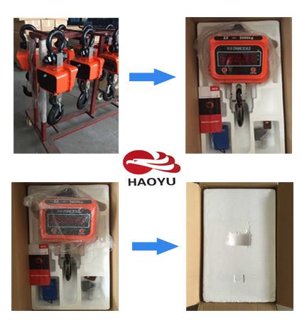 Crane Scale Weighing Electronic Scale 3