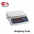 Weighing Scale Electronic Platform