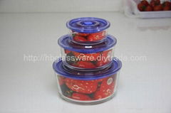 Borosilicate Glass Food Crisper