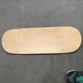 HBD-S Canadian Maple Blank Skateboard Decks 2