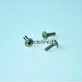 Screws Factory For Wholesale 4