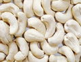 Cashew Nuts