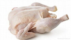 Whole Frozen Chicken