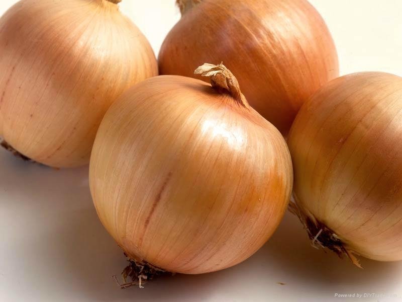 Fresh Onions 