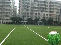 AAG Synthetic Grass for Soccer