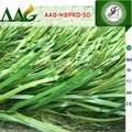 Best quality Artificial Grass Holland imported materials FIFA 2 Star turf  3
