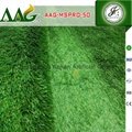 Best quality Artificial Grass Holland imported materials FIFA 2 Star turf  5