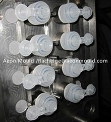 [Aeon mould] filp top cap mould