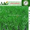 AAG Football grass synthetic turf professional football grass monofilament PE 2