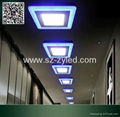 LED 双色面板灯 2