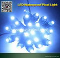 LED Pixel Light  Advertising Light 5v 12v 9mm 12mm