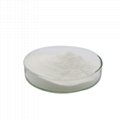 Transglutaminase Microbial for Dairy Stabilizer Flour Improver