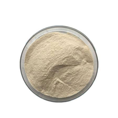 Fungal Amylase (alpha) Enzyme for Dough Bread Improver 4