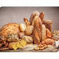 Phospholipase Novel Lipase for Flour Bread improver