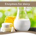 Lactase or Galactosidase Enzyme for Dairy Lactose Reducing