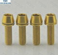 4 Pcs M5x16 Titanium Golden color Screw