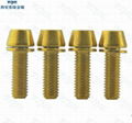 4 Pcs M5x16 Titanium Golden color Screw Allen Hex Tapered Socket Cap Head Ti Bol 2