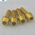 4 Pcs M5x16 Titanium Golden color Screw Allen Hex Tapered Socket Cap Head Ti Bol 3