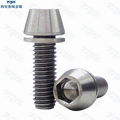 Titanium Bolt M6x20 Tapered Hex Allen Head M6 Bicycle Bike Screw+Washer .. 2