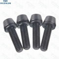 Titanium Bolt M5x20 Tapered Hex Allen