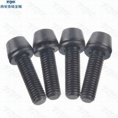 Titanium Bolt M5x20 Tapered Hex Allen Head M6 Bicycle Bike Screw+Washer ..