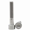 M5 x 30mm Ti color Titanium Ti Screw