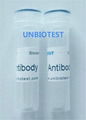 Aflatoxin B1 Monoclonal Antibody  1