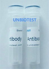 Aflatoxin B1 Monoclonal Antibody 