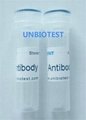 Bisphenol A (BPA) Monoclonal Antibody 1