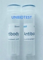 Tetracyclines Monoclonal Antibody