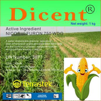 Herbicide Nicosulfuron For Maize Weed Killer H5 Tsk China Manufacturer Pesticides Agrochemicals Products Diytrade China