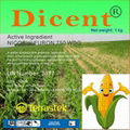 Herbicide  Nicosulfuron for Maize Weed