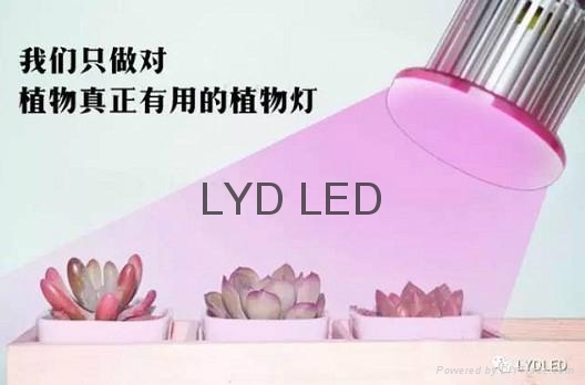 乐亿迪定制LED植物生灯灯 2
