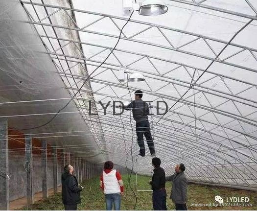 乐亿迪定制LED植物生灯灯 4