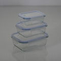 High frequency borosilicate glass 2 compartment food container 