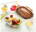 High Quality Borosilicate Glass Square Storage Food Container With PP Cover 1