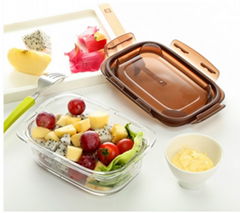 High Quality Borosilicate Glass Square Storage Food Container With PP Cover