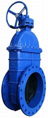 BS Big Size Gate Valve