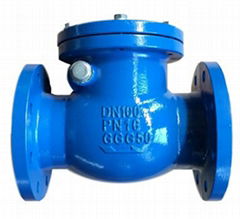 Swing Check Valve