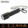 OKADU DT04 800Lm AA LED Diving Torch