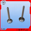 Deutz Inlet/Exhaust Valve 1