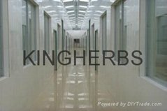 Kingherbs Limited 