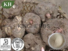 Konjac Extract