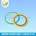 Manufacturer Price Spiral Wound Gaskets