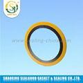 Spiral Wound Gasket Seal Manufacturer 3