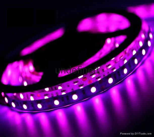 5050 3528 5730 2835 LED strip light LED tape light 5