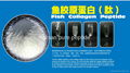 Fish Collagen Peptide