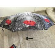 Automatic folding umbrellas 3