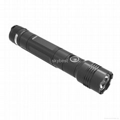 SKYBEST 160 Lumen 3 Modes 1080P HD Flashlight Camera SKY-P3