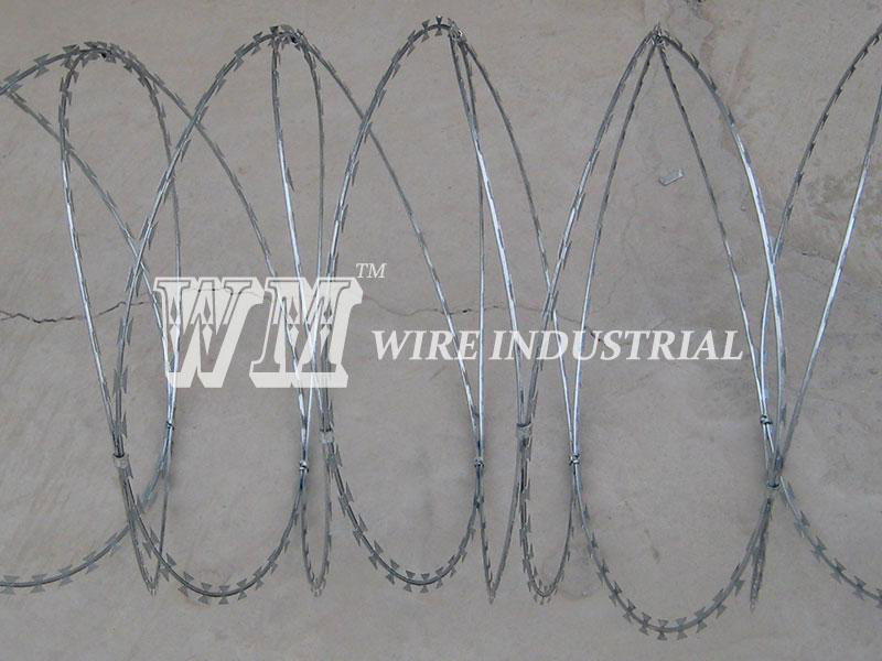 Concertina Razor Wire 2